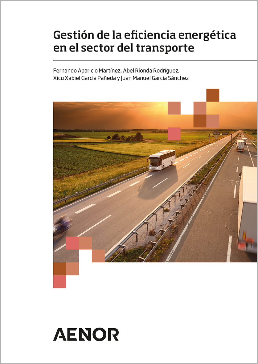 Energy efficiency in the transport sector