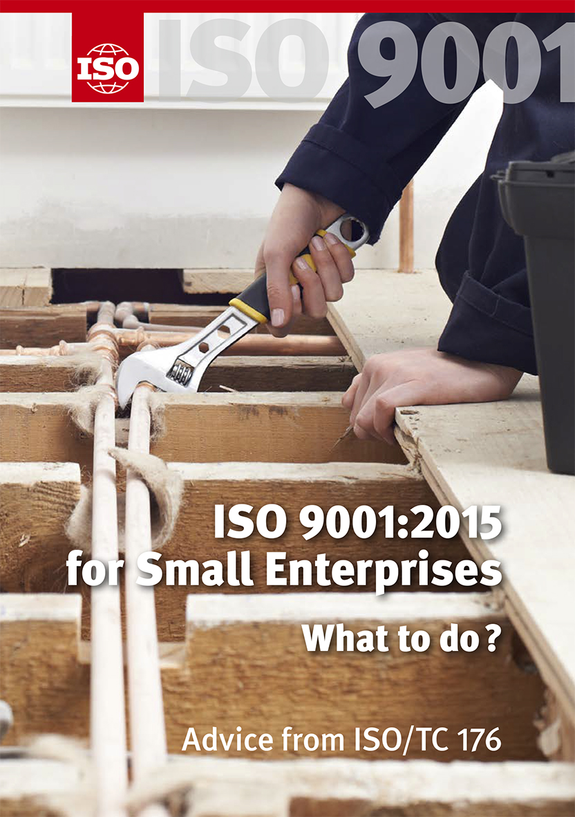 ISO 9001:2015 for Small Enterprises – What to do?