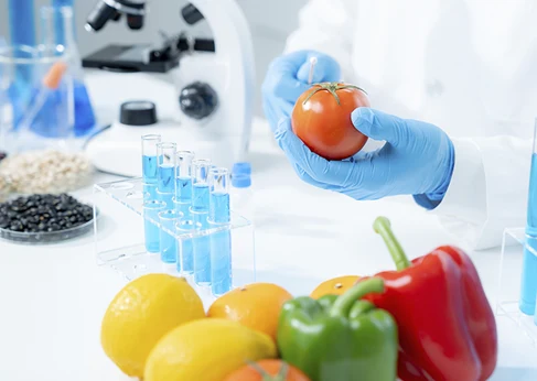 UNE-EN ISO 17468:2024 on microbiology of the food chain